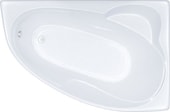 Акриловая ванна Triton Изабель 170x100R (с каркасом, экраном и сифоном)