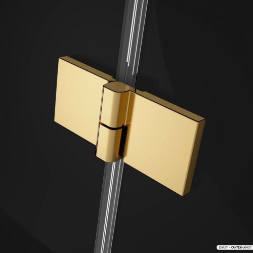 Душевой уголок Radaway Essenza Pro Gold PDD 100x100 фото 4