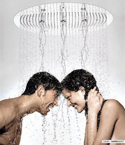 Верхний душ Hansgrohe Raindance 26115000 фото 2