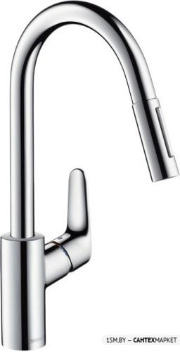 Смеситель для мойки Hansgrohe Focus 31815000