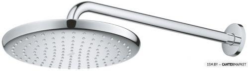 Верхний душ Grohe Tempesta 250 26663000 фото 4