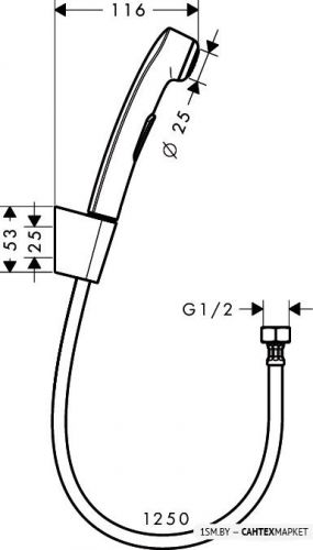 Гигиенический душ Hansgrohe Bidette 1jet hand shower (32129000) фото 2