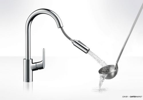 Смеситель для мойки Hansgrohe Focus 31815000 фото 2