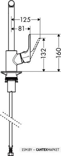 Смеситель для мойки Hansgrohe Focus 31817000 фото 3