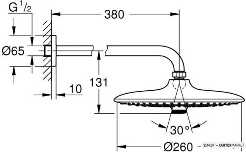 Верхний душ Grohe Euphoria 260 26459000 фото 2