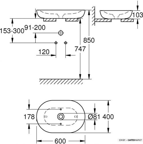 Накладной умывальник Grohe Essence 3960800H с гигиеническим покрытием фото 2