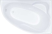 Акриловая ванна Triton Николь 160x100R (с каркасом, экраном и сифоном)